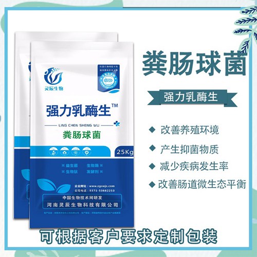 强力乳酶生(粪肠球菌).jpg