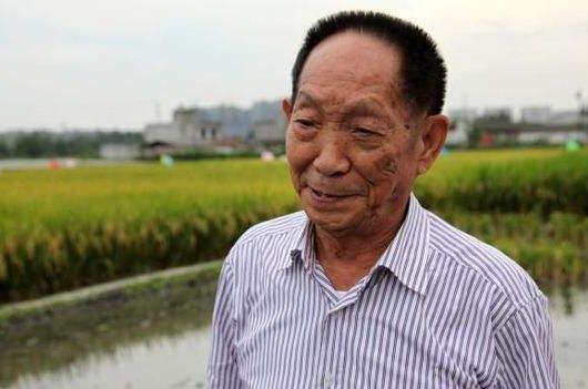 中国有面积达15亿亩盐碱地分布在西北、东北、华北及滨海等地区