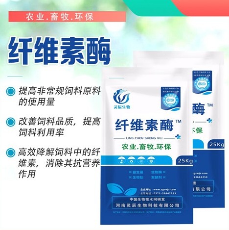 纤维素酶