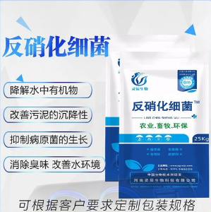 反硝化细菌
